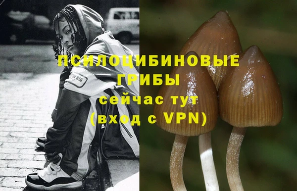 ГАЛЛЮЦИНОГЕННЫЕ ГРИБЫ Елизово