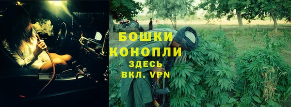 ГАЛЛЮЦИНОГЕННЫЕ ГРИБЫ Елизово