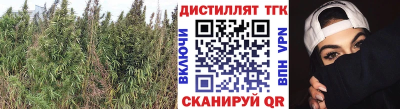Дистиллят ТГК THC oil  Купить  Козельск 